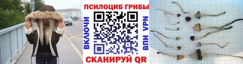 Галлюциногенные грибы GOLDEN TEACHER  наркошоп  kraken как зайти  Джанкой 
